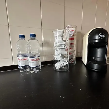 Radicl Bussi Apartment